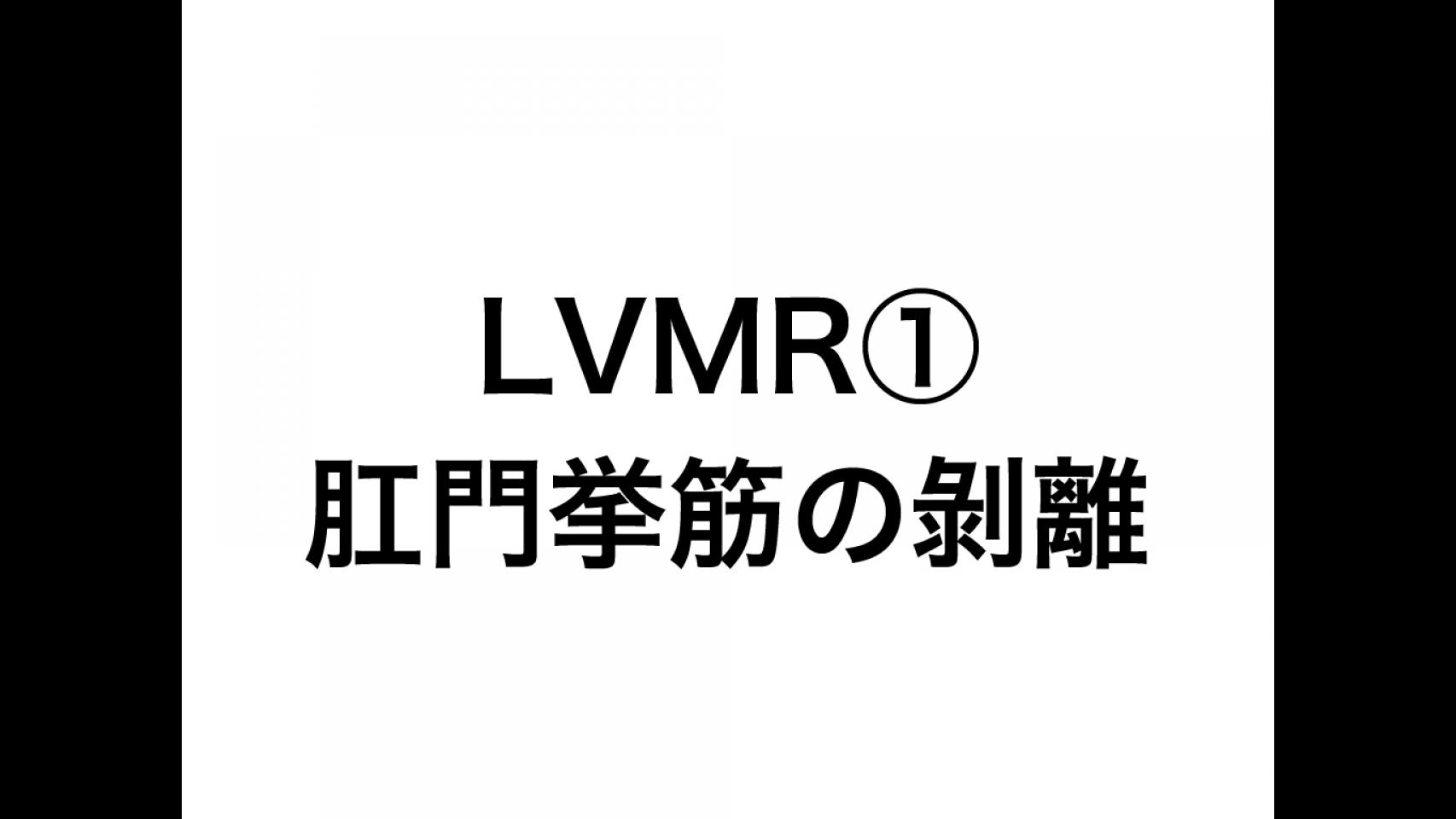 動画4.LVMR①肛門挙筋の剝離